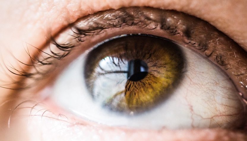 eye
