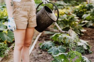 Understand Your Plants